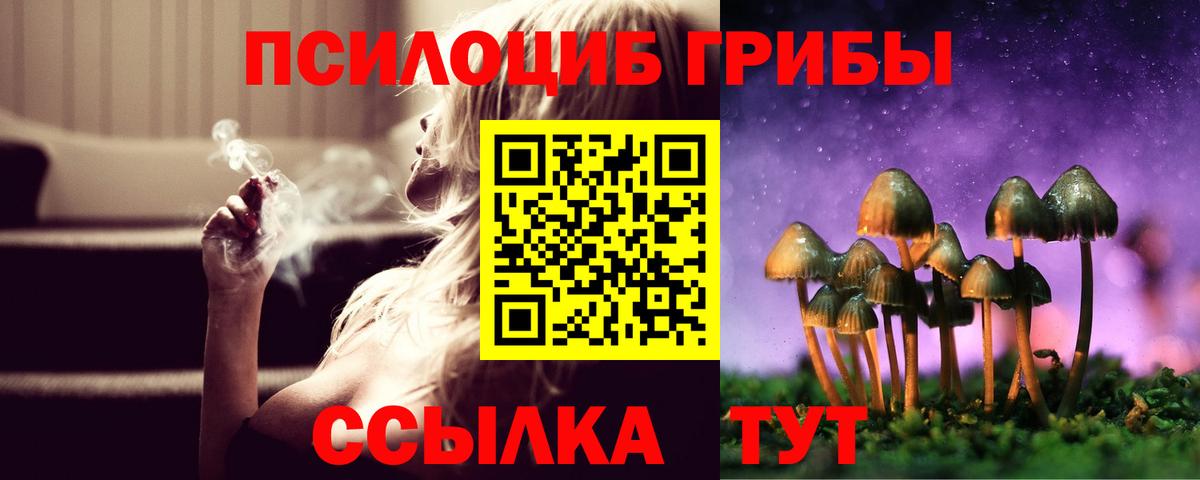 Галлюциногенные грибы Magic Shrooms  Вход с VPN  продажа наркотиков  Галлюциногенные грибы GOLDEN TEACHER  Альметьевск 